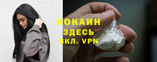 гидра Мегион