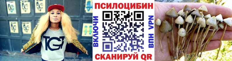 Псилоцибиновые грибы Cubensis  Малоярославец 
