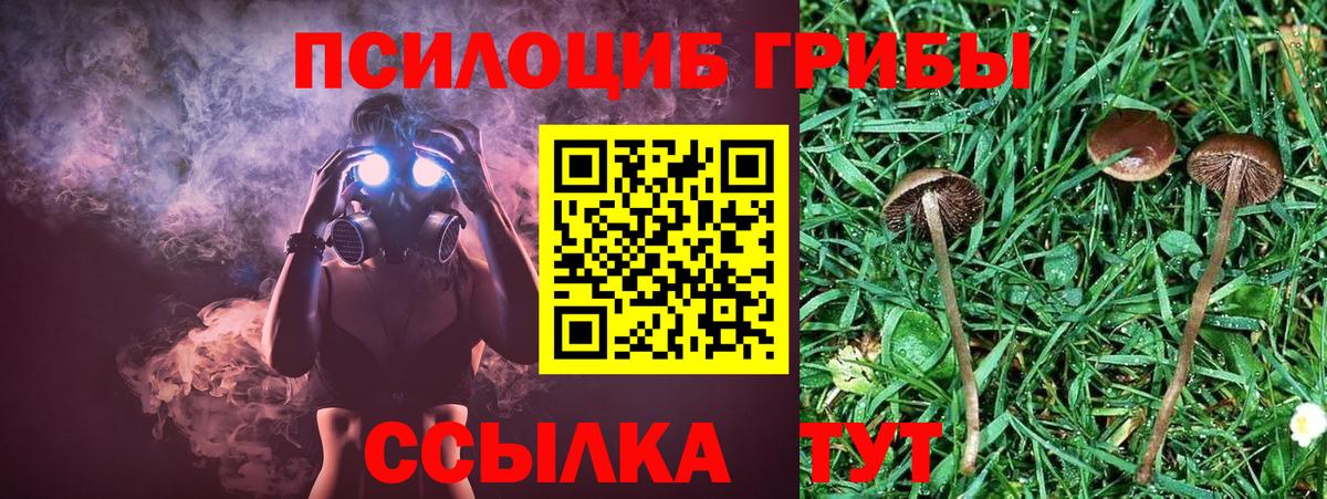 Галлюциногенные грибы Magic Shrooms  Вход с VPN  Малоярославец 