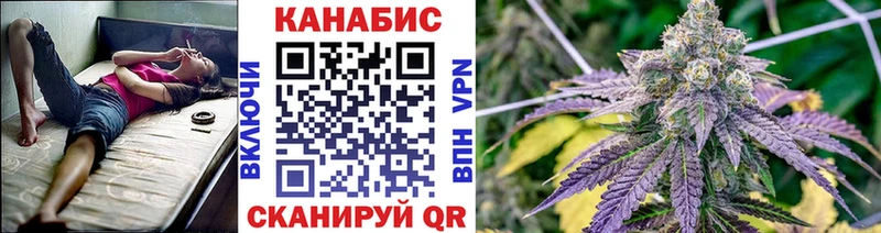 купить наркоту  Малоярославец  KRAKEN зеркало  Бошки Шишки тримм 